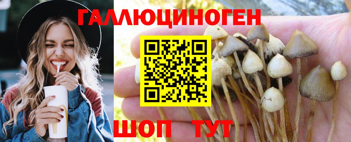 где найти наркотики  Галлюциногенные грибы ЛСД  Аргун  Вход с VPN  Псилоцибиновые грибы MAGIC MUSHROOMS 